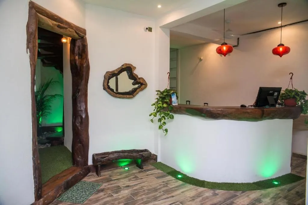 公寓 The Green Village Hotel 普拉亚卡门